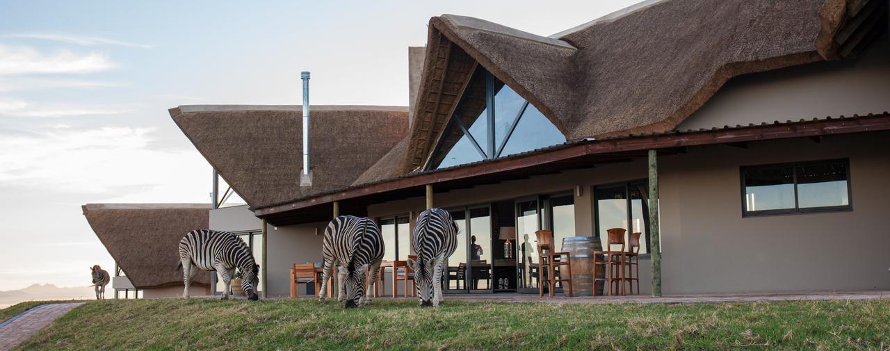 Jbay Zebra Lodge Longmore Ngoại thất bức ảnh